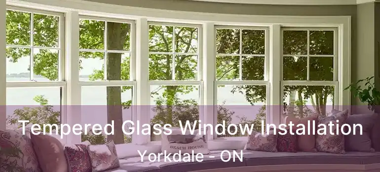  Tempered Glass Window Installation Yorkdale - ON
