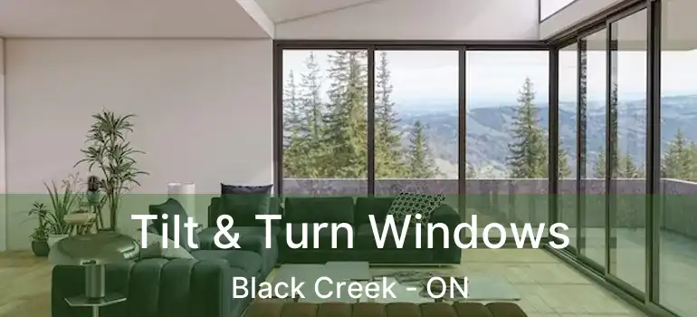  Tilt & Turn Windows Black Creek - ON