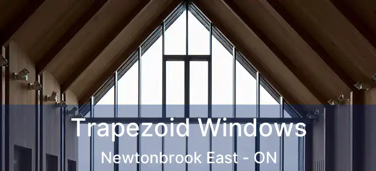  Trapezoid Windows Newtonbrook East - ON