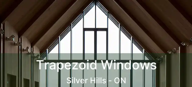  Trapezoid Windows Silver Hills - ON
