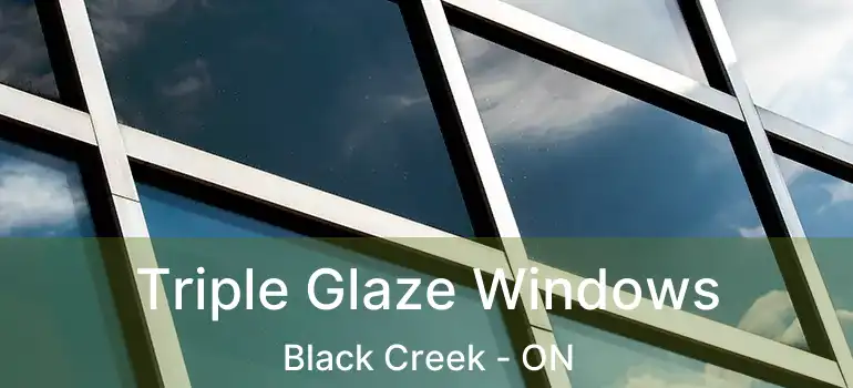  Triple Glaze Windows Black Creek - ON
