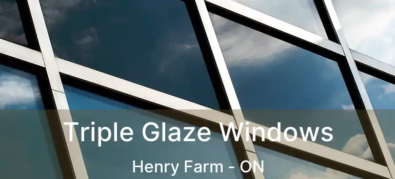  Triple Glaze Windows Henry Farm - ON