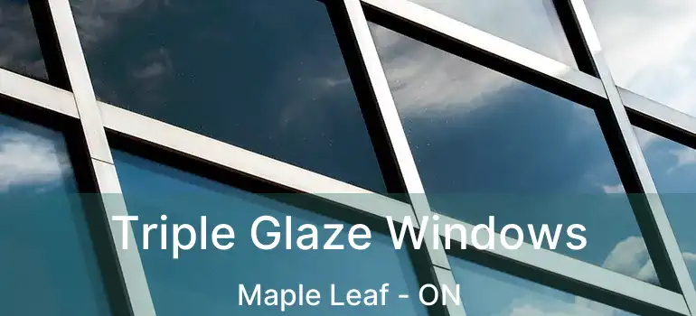  Triple Glaze Windows Maple Leaf - ON