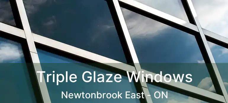  Triple Glaze Windows Newtonbrook East - ON