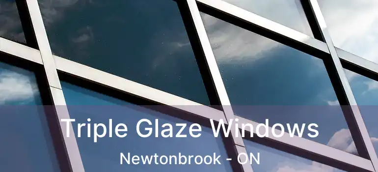  Triple Glaze Windows Newtonbrook - ON