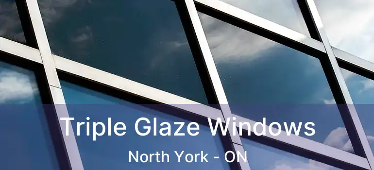  Triple Glaze Windows North York - ON