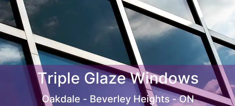  Triple Glaze Windows Oakdale - Beverley Heights - ON