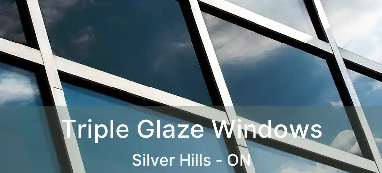  Triple Glaze Windows Silver Hills - ON