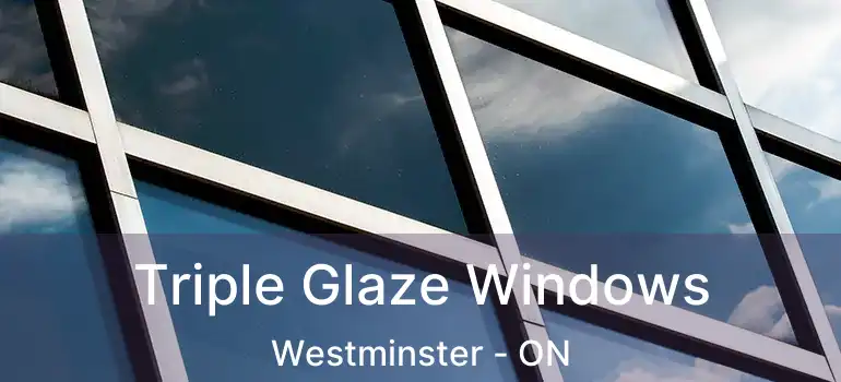  Triple Glaze Windows Westminster - ON