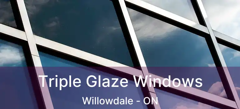  Triple Glaze Windows Willowdale - ON