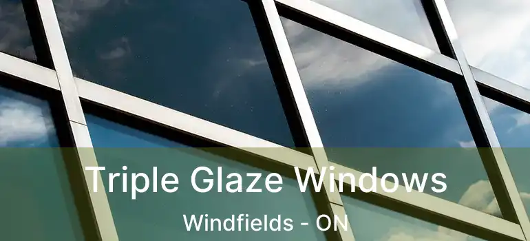  Triple Glaze Windows Windfields - ON