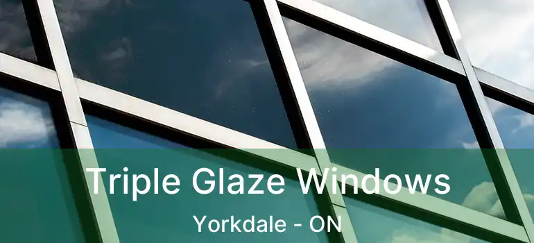  Triple Glaze Windows Yorkdale - ON