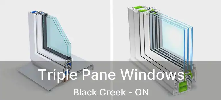  Triple Pane Windows Black Creek - ON