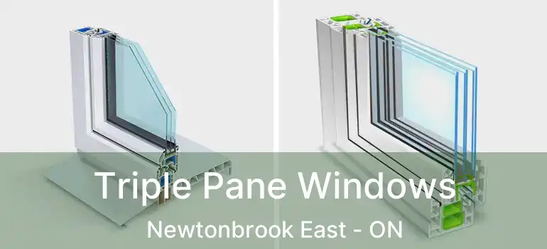  Triple Pane Windows Newtonbrook East - ON