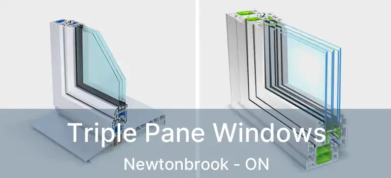  Triple Pane Windows Newtonbrook - ON