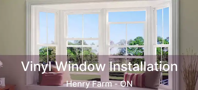  Vinyl Window Installation Henry Farm - ON