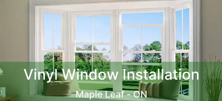  Vinyl Window Installation Maple Leaf - ON
