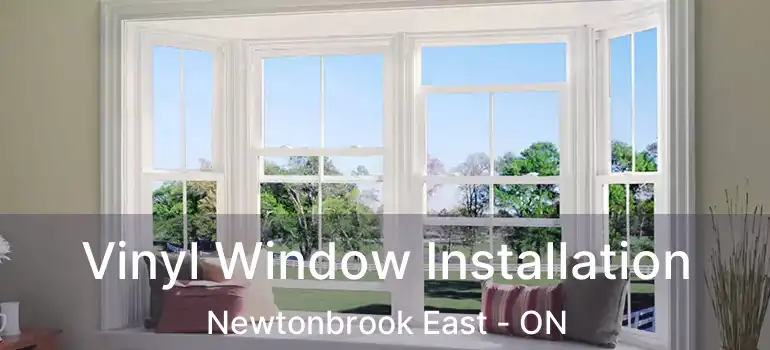  Vinyl Window Installation Newtonbrook East - ON
