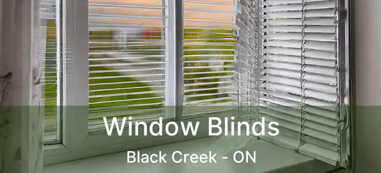  Window Blinds Black Creek - ON