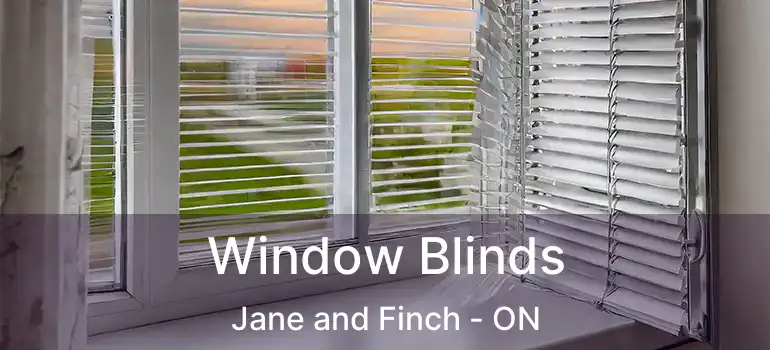  Window Blinds Jane and Finch - ON