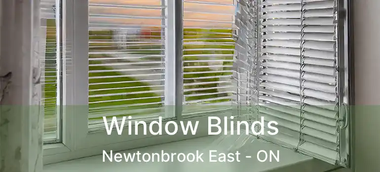  Window Blinds Newtonbrook East - ON