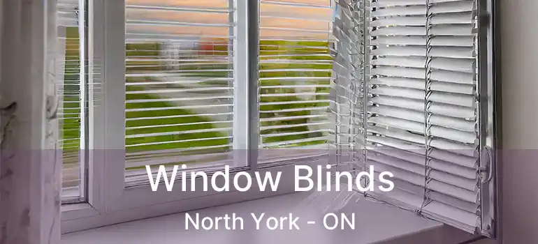  Window Blinds North York - ON