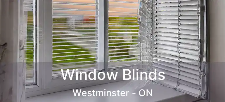  Window Blinds Westminster - ON