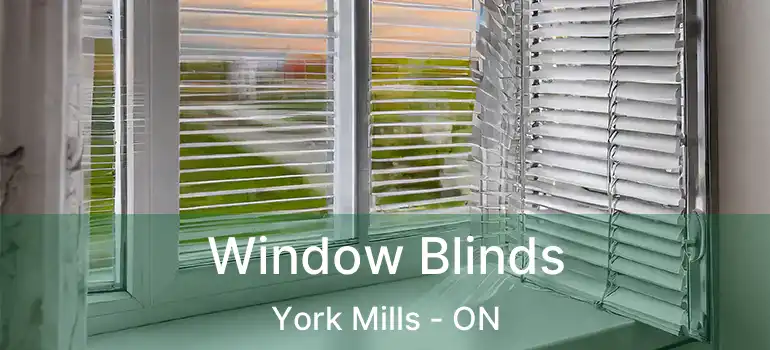  Window Blinds York Mills - ON