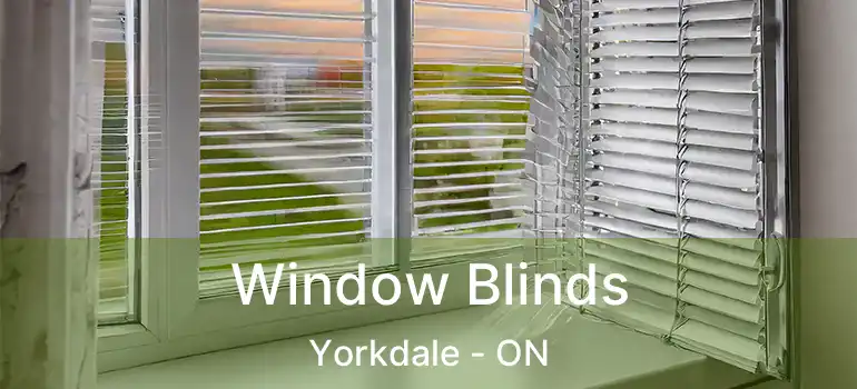  Window Blinds Yorkdale - ON