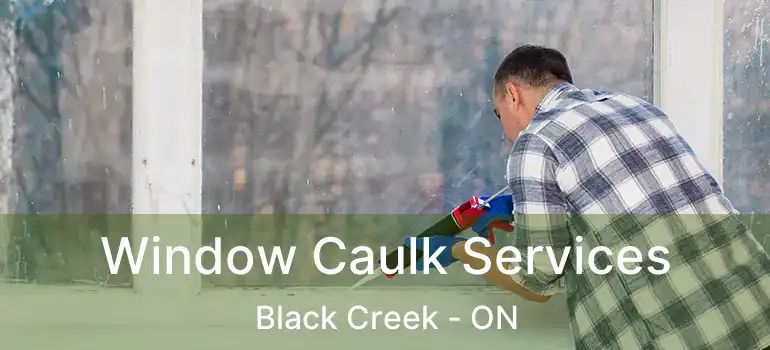  Window Caulk Services Black Creek - ON