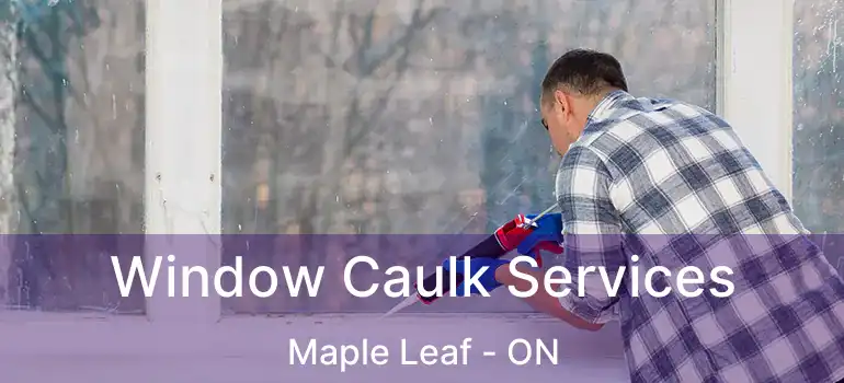  Window Caulk Services Maple Leaf - ON