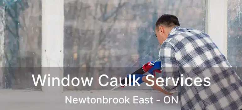 Window Caulk Services Newtonbrook East - ON