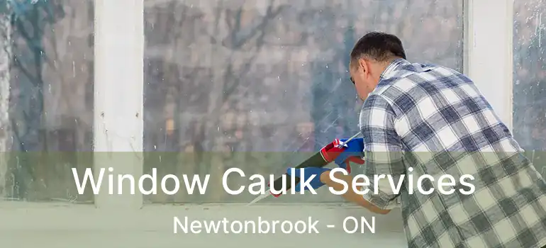  Window Caulk Services Newtonbrook - ON