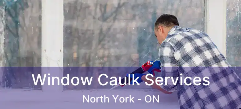  Window Caulk Services North York - ON