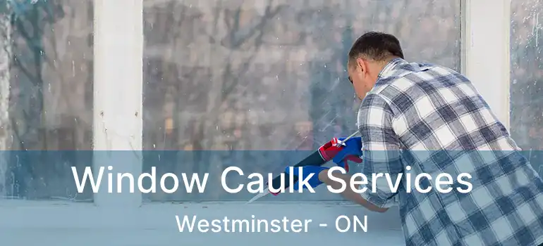  Window Caulk Services Westminster - ON