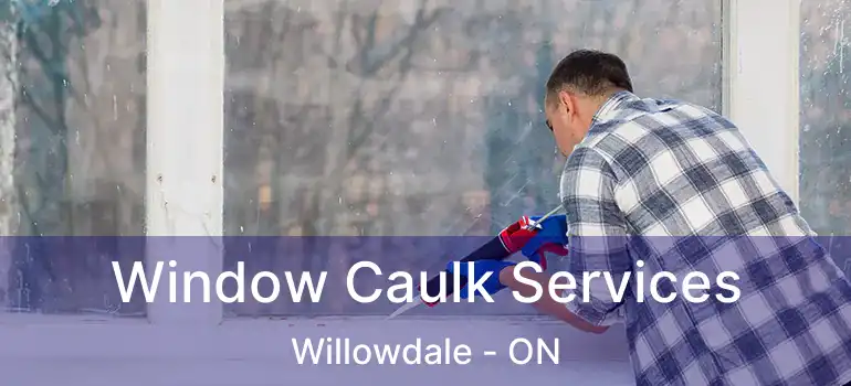  Window Caulk Services Willowdale - ON