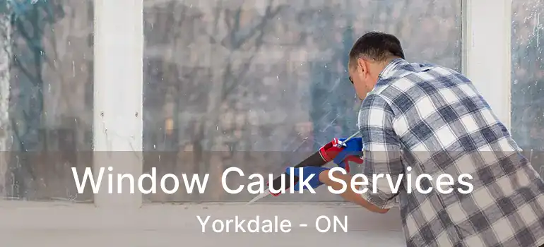  Window Caulk Services Yorkdale - ON