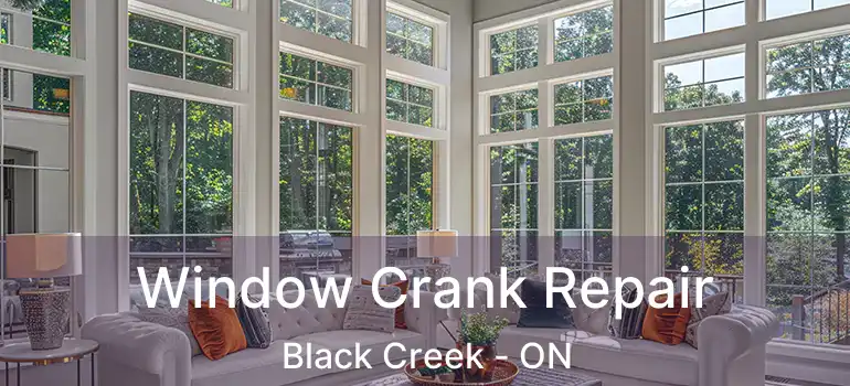  Window Crank Repair Black Creek - ON