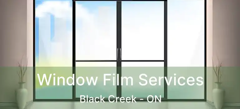  Window Film Services Black Creek - ON