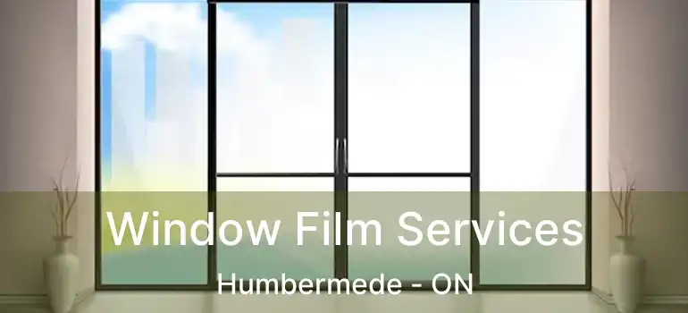  Window Film Services Humbermede - ON