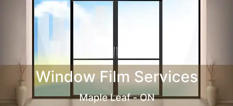  Window Film Services Maple Leaf - ON