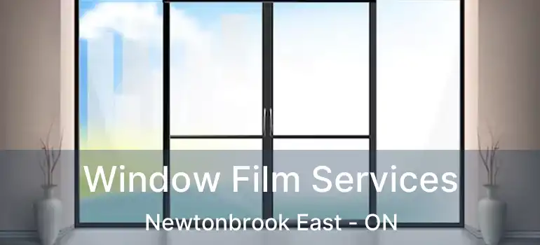  Window Film Services Newtonbrook East - ON