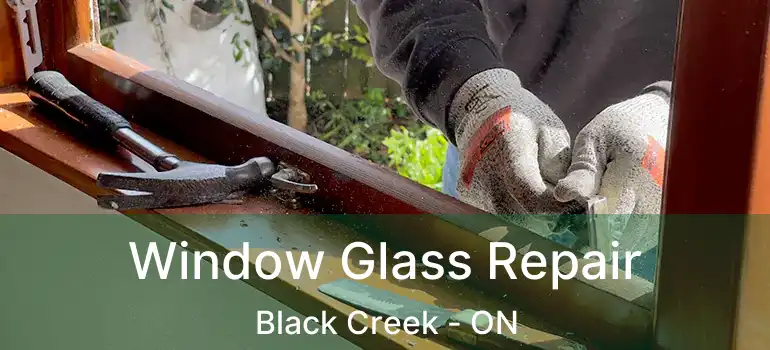  Window Glass Repair Black Creek - ON