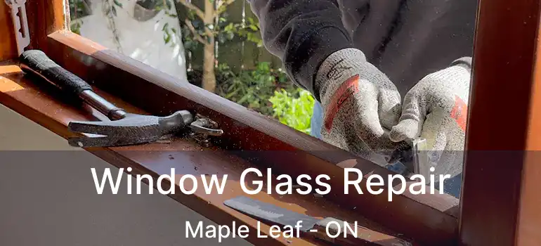  Window Glass Repair Maple Leaf - ON