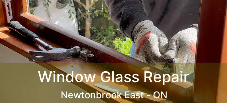  Window Glass Repair Newtonbrook East - ON