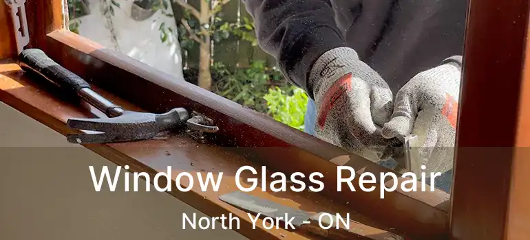  Window Glass Repair North York - ON