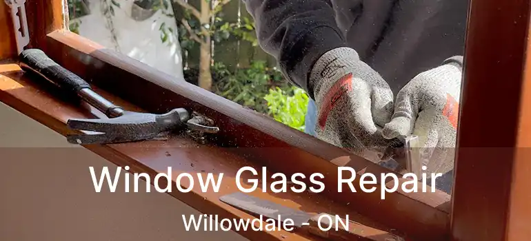  Window Glass Repair Willowdale - ON
