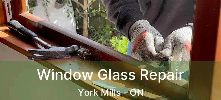  Window Glass Repair York Mills - ON