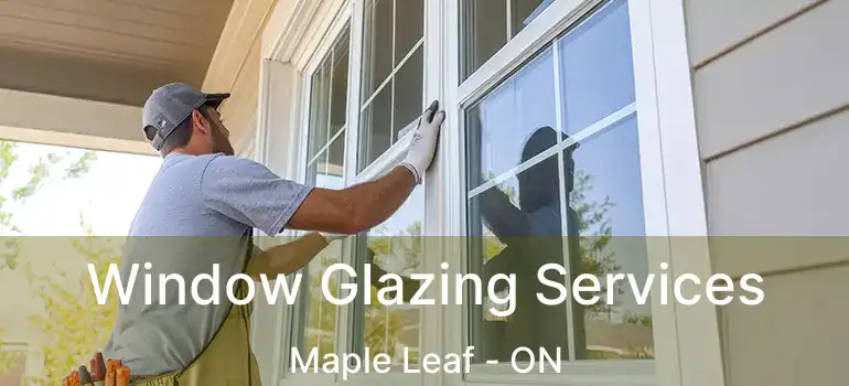  Window Glazing Services Maple Leaf - ON