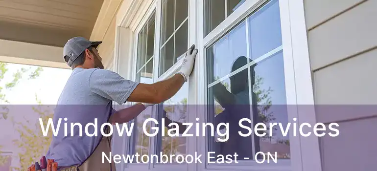  Window Glazing Services Newtonbrook East - ON